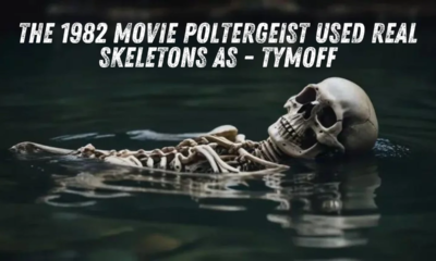 The 1982 Movie Poltergeist Used Real Skeletons As - Tymoff